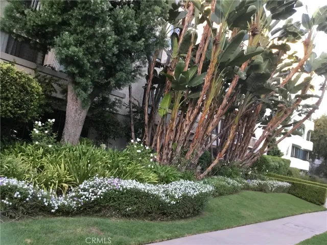 1440 Veteran Avenue 322, Los Angeles, California 90024 — photo 4