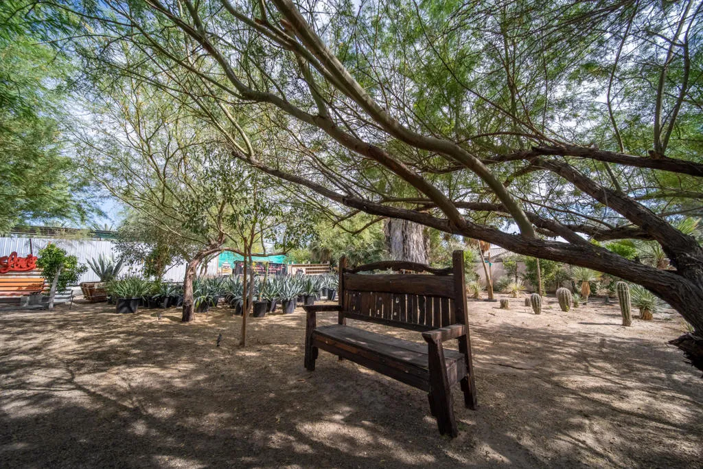 rancho 66 (56)