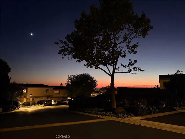 glowing sunsets and twinkling neighborhood lights