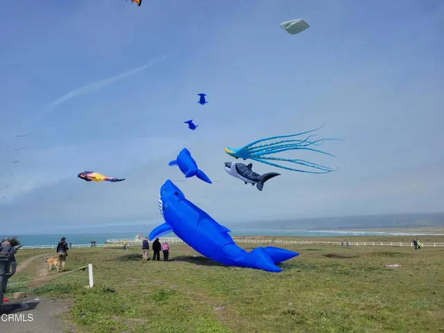 Whale Kites