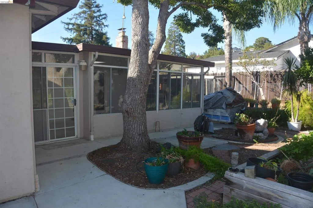 Rear yard