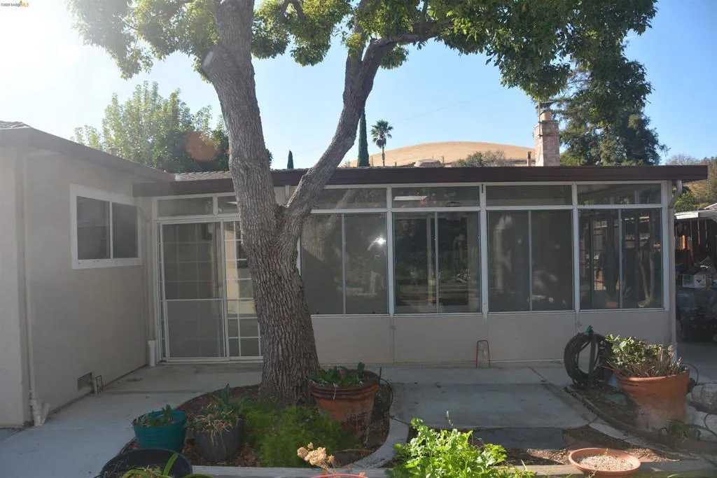 Rear yard