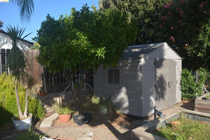 The first of two storage sheds plus fruit trees - apple and mandarin orange