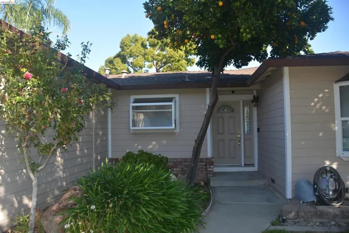Front view highlighting the front entry area with orange tree and kitchen garden window.