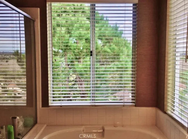 bathtub with the view