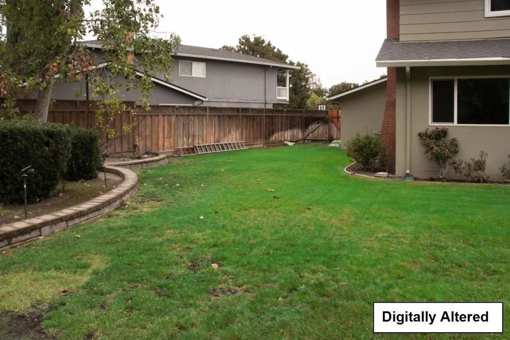 Side Yard-Digitally Altered