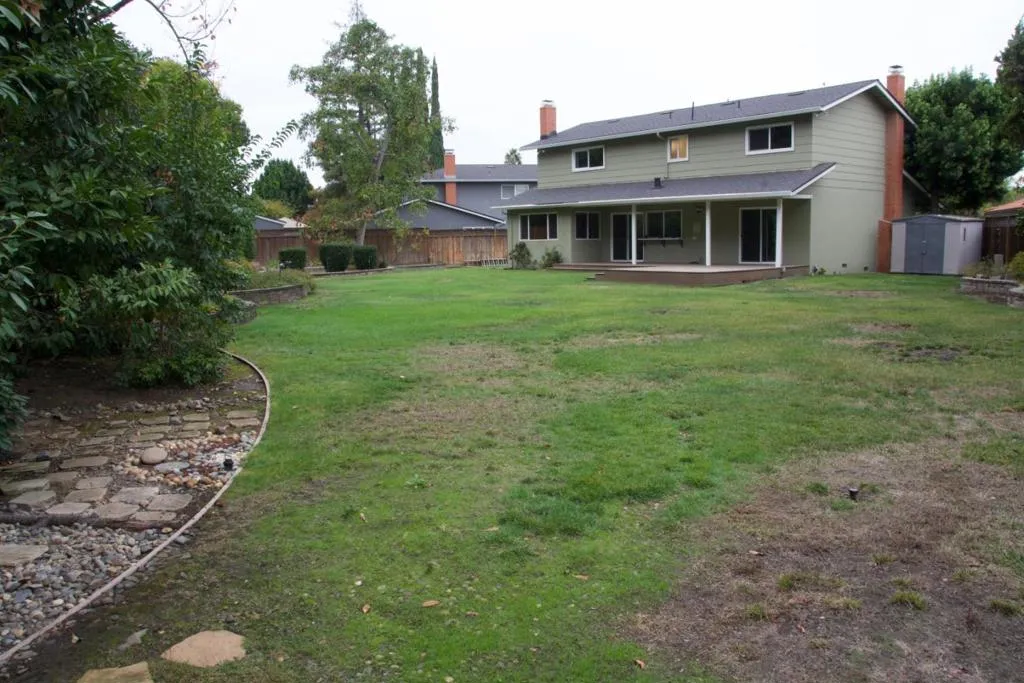 Backyard/Back of House