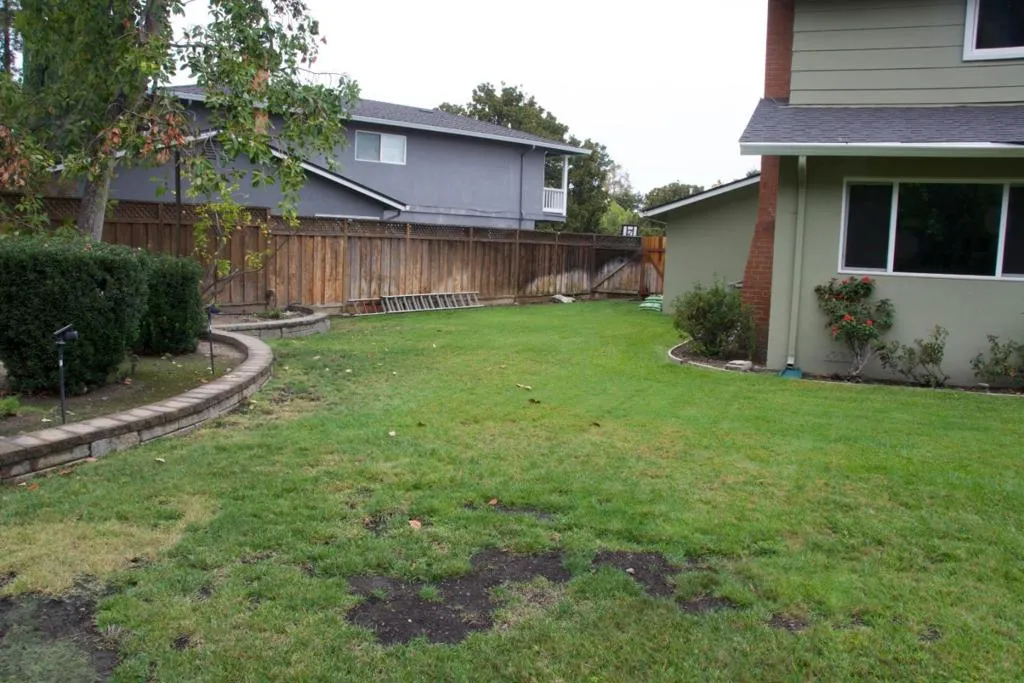 Side Yard