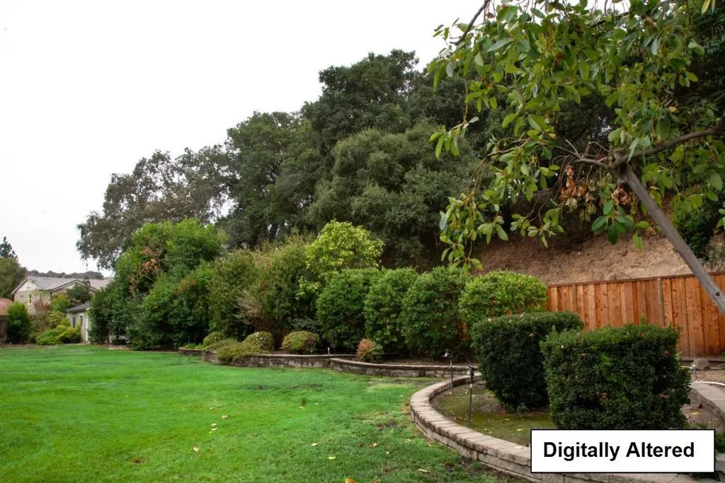 Backyard-Digitally Altered