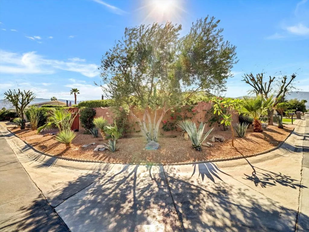 03-73443 Desert Greens N-3