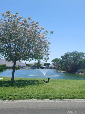 Lake view