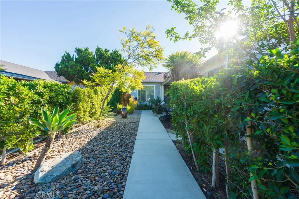 Private Tree-Lined Walkway