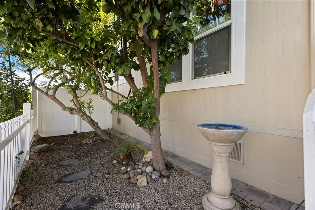 Rear yard with fountain and shade trees