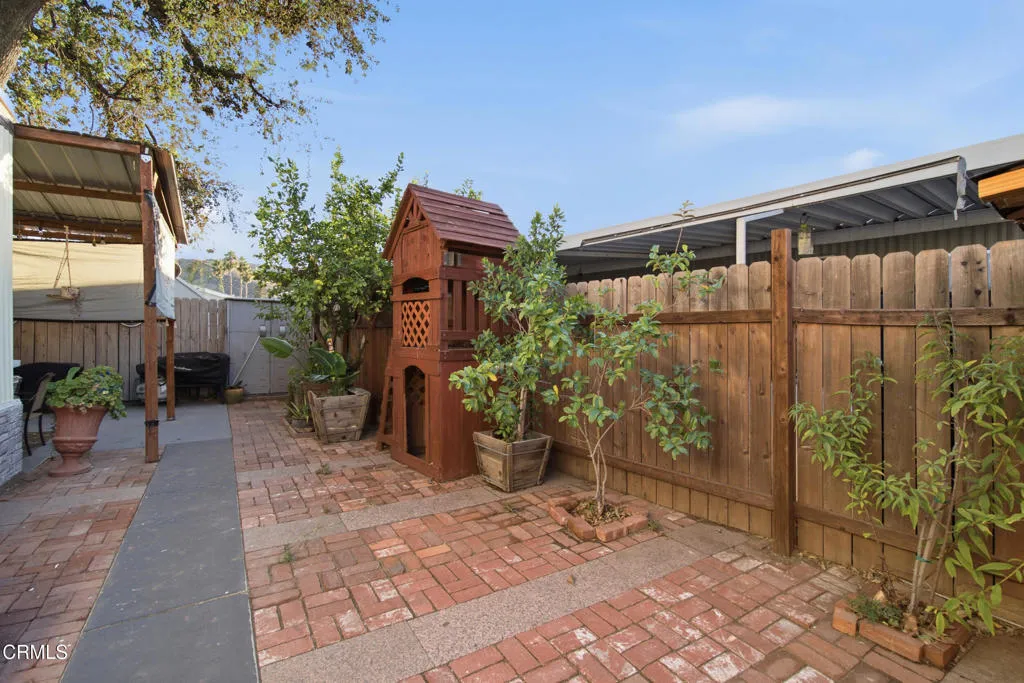 35_backyard