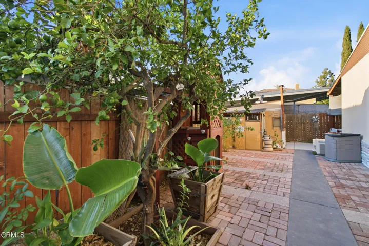 34_backyard