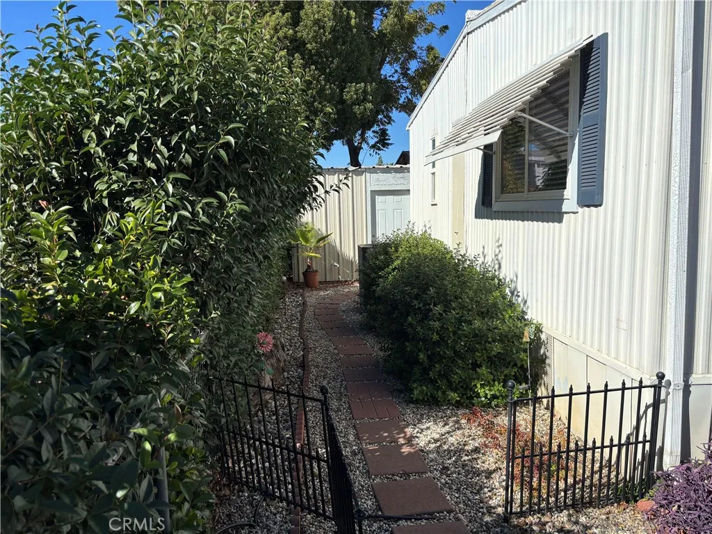 Back yard