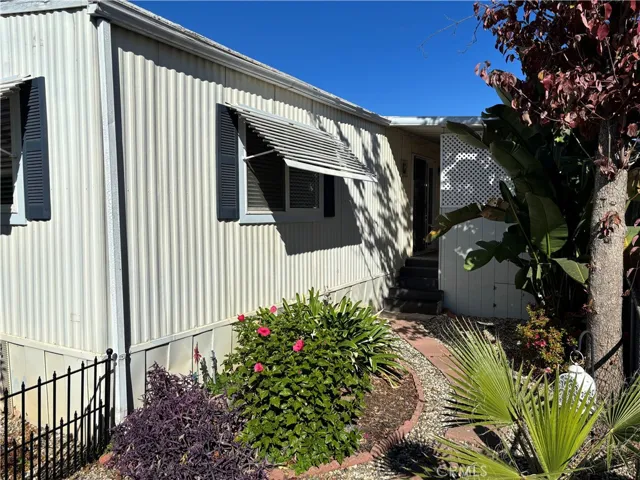 Side yard