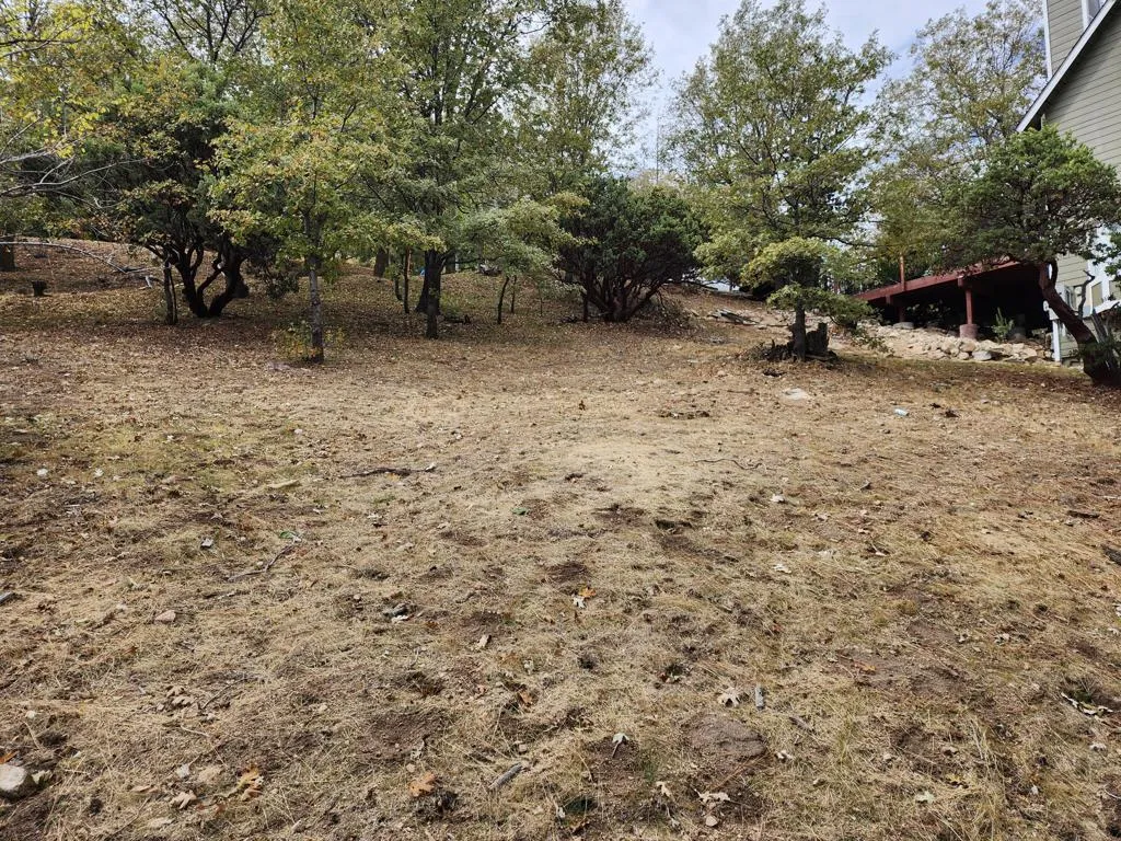 20261017_134112 20261017_134112