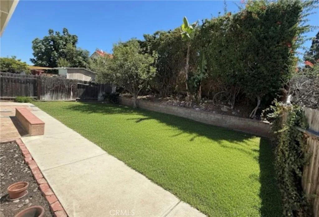Large private yard Large private yard