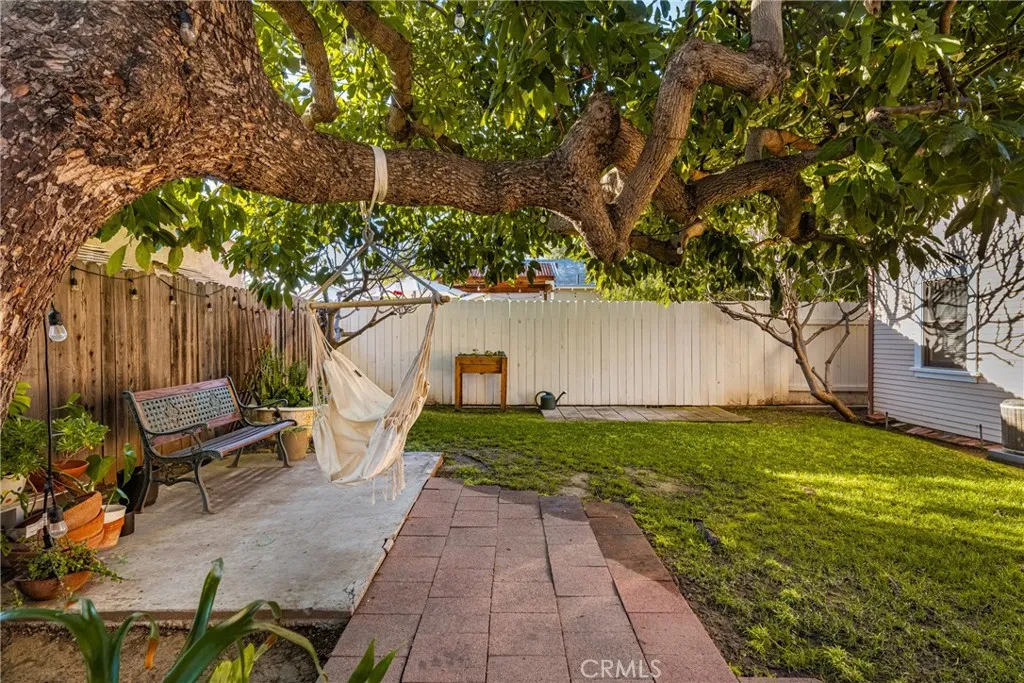 Shared Yard Shared Yard