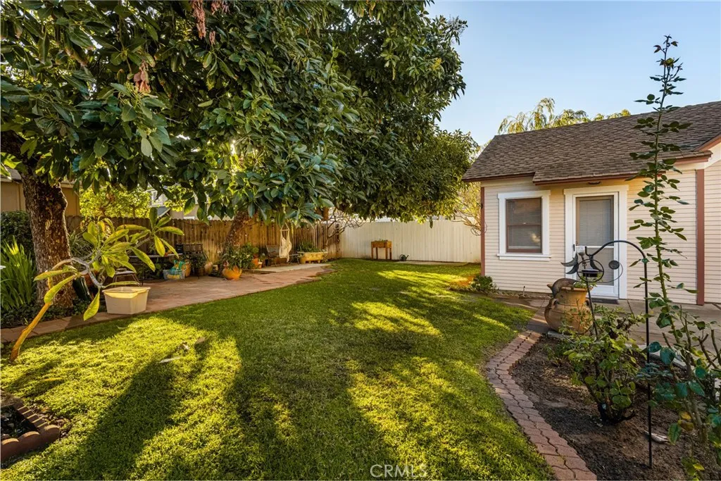 Shared Yard Shared Yard