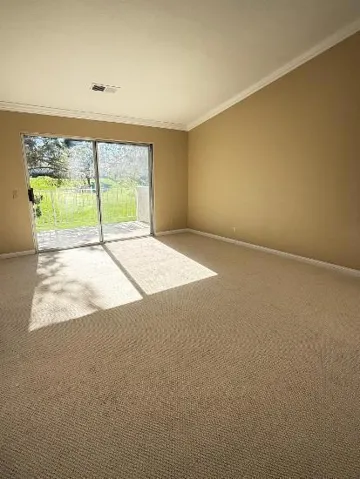 PIC19