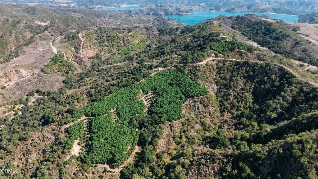 5a-web-or-mls-4292_Casitas_Pass_Rd_Ventu