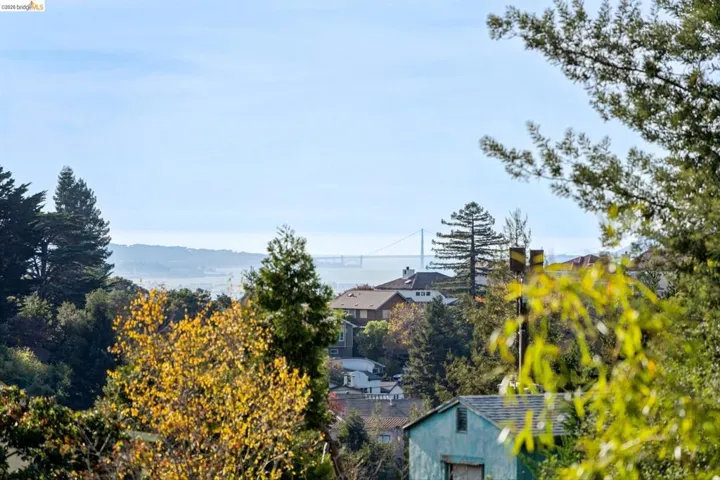 Expansive landscape featuring mature trees, surrounding residential structures, and distant bay scenery