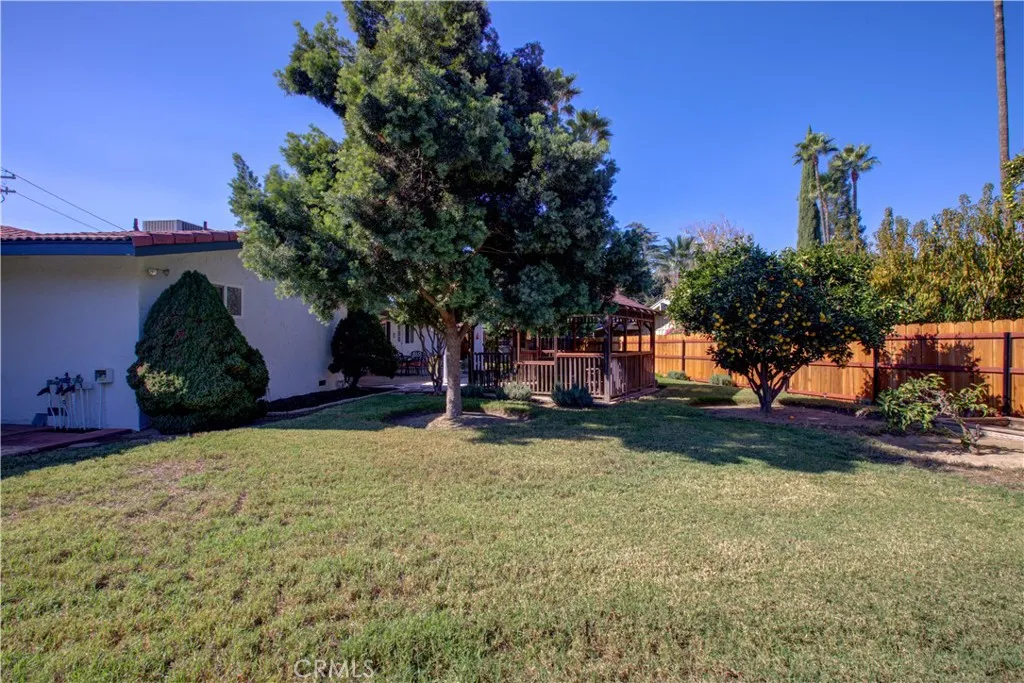 Back Yard 5
