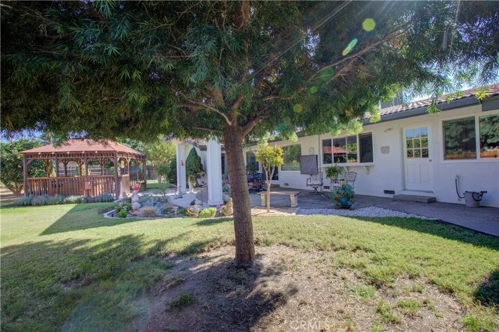 Back Yard 4