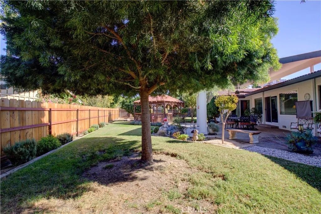 Back Yard 3