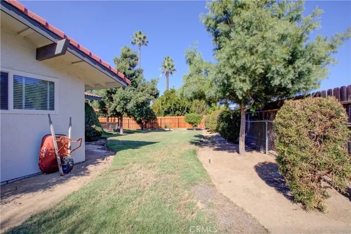 Back Yard 2