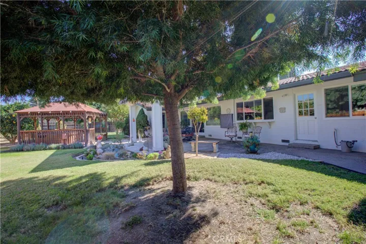 Back Yard 4