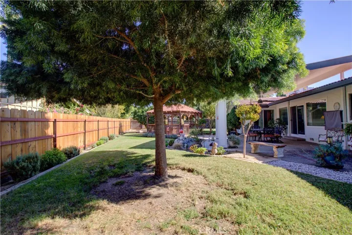 Back Yard 3