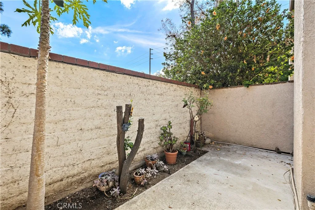 Backyard Patio. Backyard Patio.