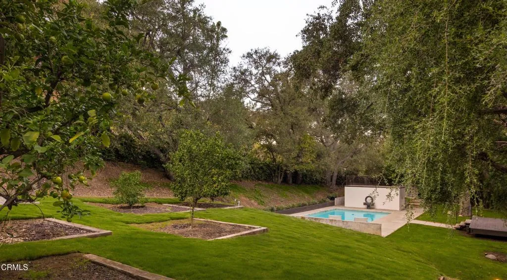 yard grass jpg yard grass jpg
