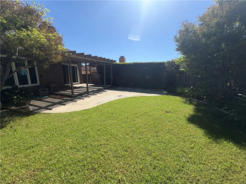 Backyard Backyard