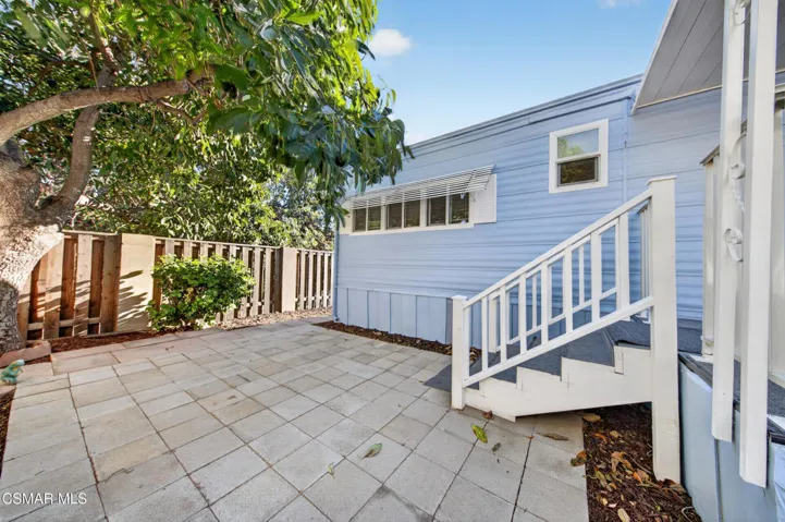 Yard & Avocado Tree