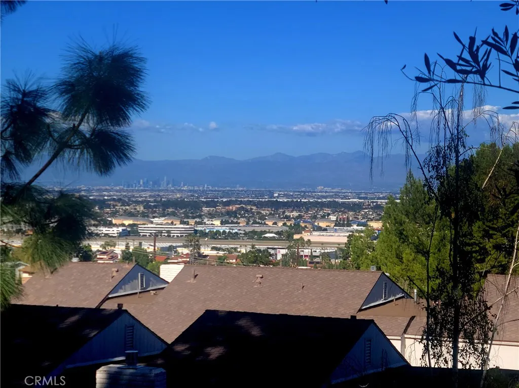 Views of the trees, city and mountains