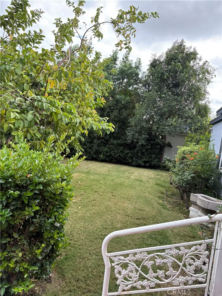 Front yard