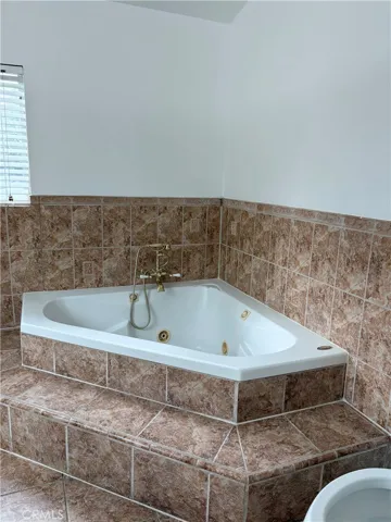 Primary bath tub