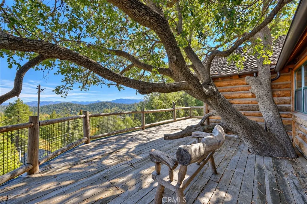 Tree House huge deck