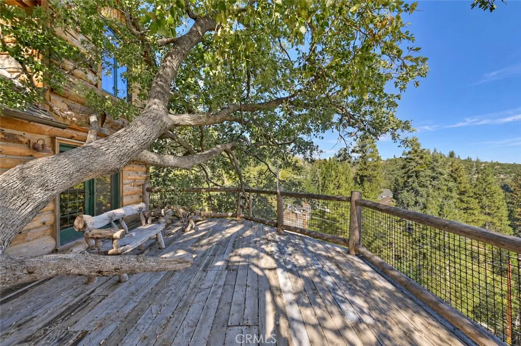 Tree House huge deck