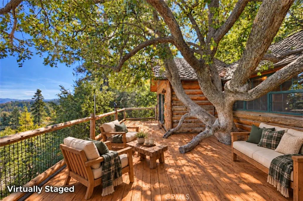 Tree House huge deck virtually stagted