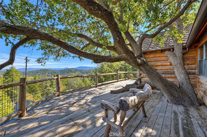 Tree House huge deck