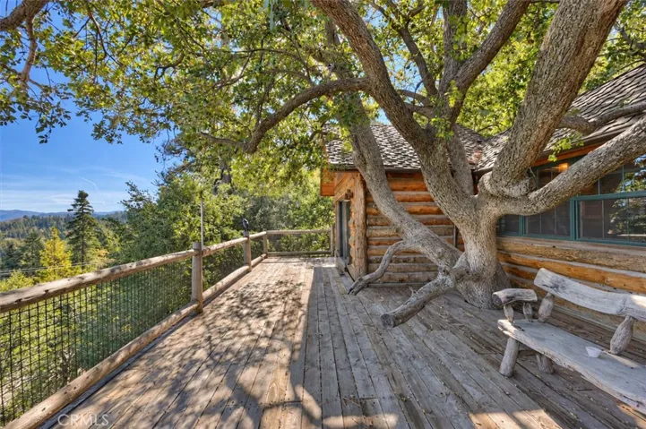 Tree House huge deck