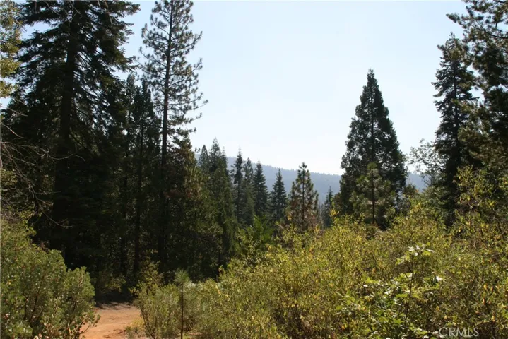 0 Beasore, Bass Lake, California None