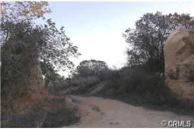 Entry to potential building pad area.
