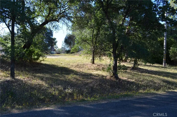 0 Wahoo Avenue, Oroville, California None