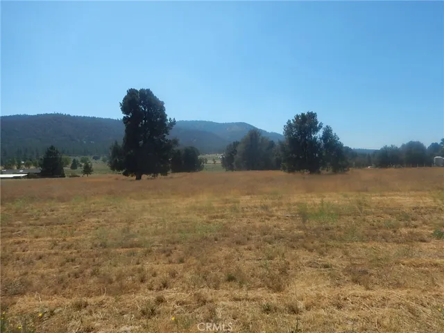 SUBJECT 10.12 Acres looking west from foxtail ranch rd.